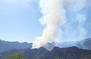 Hatay’da orman yangını