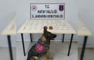 Hatay’da uyuşturucu operasyonu: 2 gözaltı