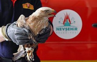 Havalandırma boşluğuna düşen şahini itfaiye...
