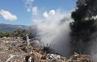 Havalar ısındı, meşhur çöplükte yangınlar...