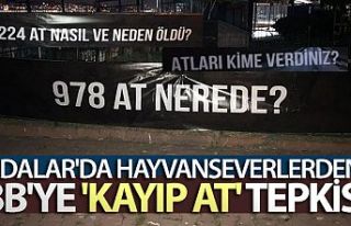 Hayvanseverlerden İBB'ye '' 978 At...