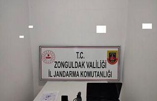 HDP milletvekili adayı terör propagandasından gözaltına...