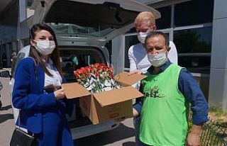 Hemşirelere karanfil verildi