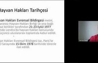 Hemşirelik Bölümünden hayvan haklarına yönelik...