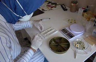 Hobi olarak başladı, mesleği oldu