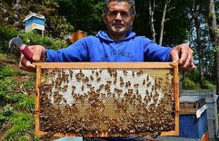 Hobi olarak başladı meslek edindi