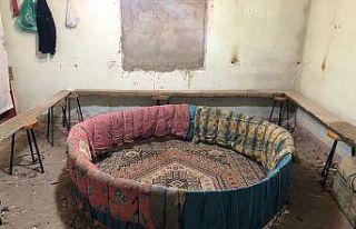 Horoz dövüşçüleri jandarmaya yakalandı