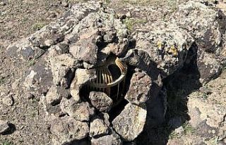 Iğdır’da Keklik avlayan 2 şahsa 11 bin 328 lira...