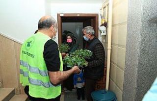 İpekyolu Belediyesi balkonları bahçeye çeviriyor