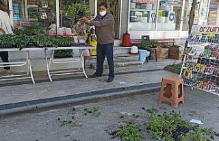 İsrail’in tohum ve fidelerini yerlere saçarak,...