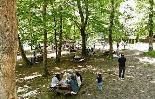 İstanbullular Belgrad Ormanı’na akın etti