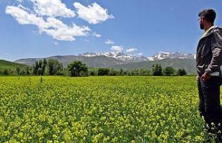 İsviçreli turist Yüksekova dağlarına hayran kaldı