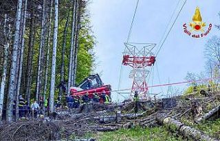 İtalya’daki teleferik kazasında yaralı kurtulan...