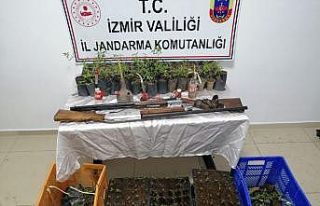 İzmir’de jandarmadan zehir tacirlerine baskın