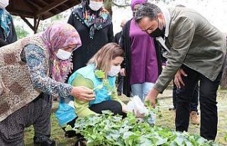İzmit köylülerine 144 bin hibe fide