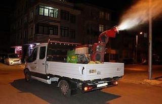 İzmit’te sivrisineklere karşı ilaçlama çalışması