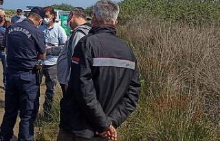 Jandarma kaçak balık avlayanlara göz açtırmıyor