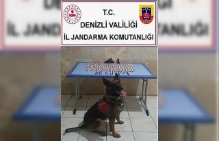 Jandarma yüzlerce uyuşturucu madde yakaladı