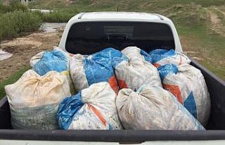Kaçak avlanmış 1,5 ton inci kefali ele geçirildi