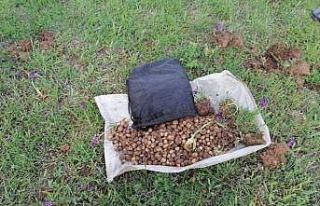 Kaçak salep soğanı toplayan 4 kişiye 321 bin 860...