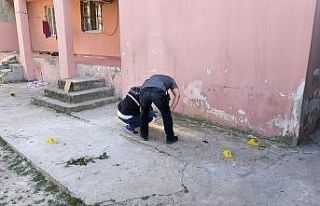 KADES’i kullanan kadın hayata tutundu