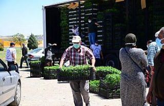 Kahramankazan’da çiftçilere 1 milyon 200 bin sebze...