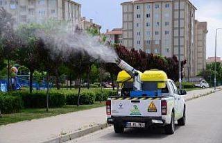 Kahramankazan’da haşerelere karşı ilaçlama