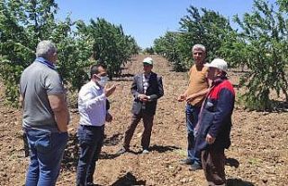 Kahta’da bahçeleri fırtına vurdu