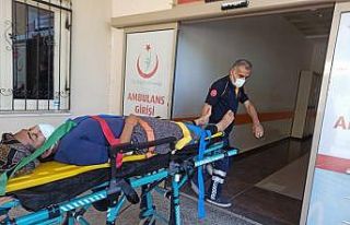 Kahta’da damdan düşen kadın ağır yaralandı