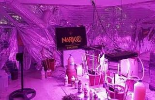 Kaldıkları evi kenevir yetiştirmek için adeta...