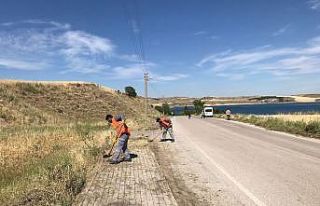 Kaldırım ve yollardaki yabani otlar temizleniyor