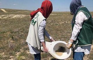 Kapadokya’da vadi içerisine atılan klozet pes...