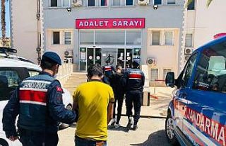 Kapı ve pencereleri kırarak evlere giren hırsızlar...