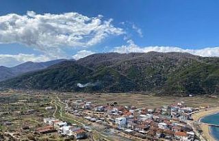 Kapıdağ mor soğanında zarar yok