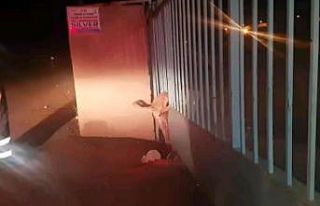 Kapının demir parmaklıklarına sıkışan köpeği...