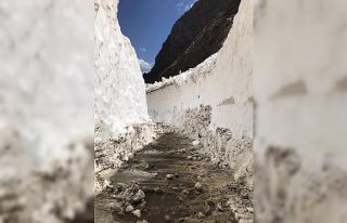 Kar kalınlığının 4 metreyi bulduğu yayla yolu...