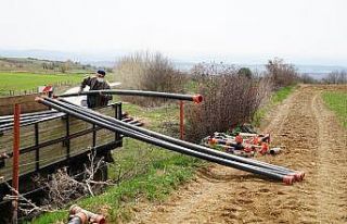 Kar yağışı Taşköprü sarımsağına ilaç oldu