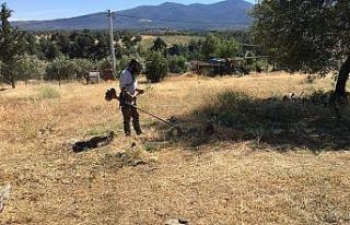 Karacasu’da mezarlıklar temizleniyor