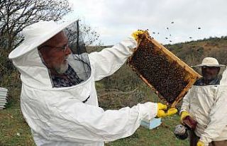 Karadeniz Bölgesinin gezginci arıcıları Bozok...