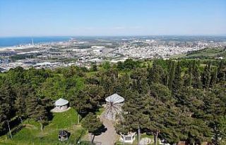 Karadeniz’in tek taş gövdeli yel değirmeni