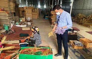 Karaisalı’dan 10 ülkeye süs bitkisi ihracatı