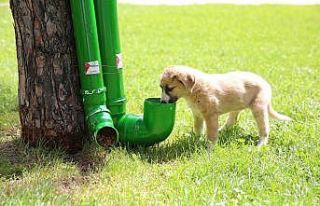Karaköprü’de sokak hayvanları unutulmadı