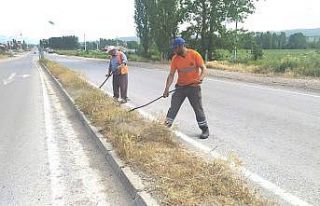 Karayolu çevresinde yabani ot temizliği