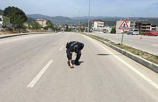 Karayolunu geçmeye çalışan kaplumbağaya polis...