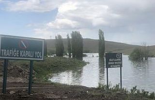 Kars Baraj gölü etrafa pis koku saçıyor