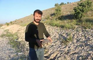 Karşıdan karşıya geçmek için yanlış yolu seçen...