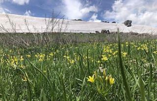 Kars’ta 5 metre yüksekliğinde kar kütlesi görenleri...