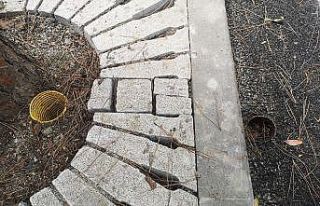 Kartal’da yarım asırlık ağaçlara ‘Nefes Borusu’...