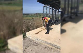 Kastamonu Belediyesi, sokak hayvanları ile kuşları...