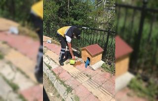 Kastamonu Belediyesi tam kapanma sürecinde sokak...
